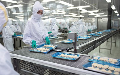 Sao Ta giữa “vòng vây” của chi phí và thuế quan