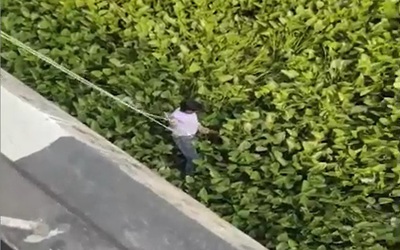 Vướng vào bèo tây khi nhảy sông tự tử, người đàn ông được giải cứu