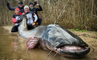 Cần thủ câu được con cá trê khổng lồ dài gần 3 mét trong hồ