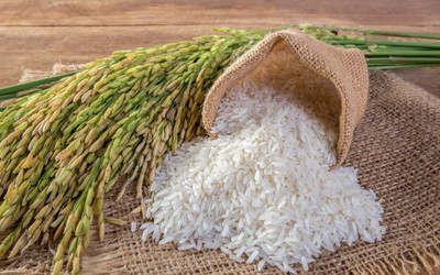 Thông qua nội dung Bản ghi nhớ hợp tác thương mại gạo Việt Nam – Singapore