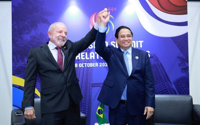 Brasil đang đẩy nhanh việc công nhận Quy chế Kinh tế thị trường của Việt Nam