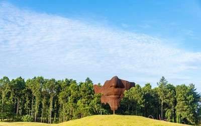 Flamingo: “Xây” bảo tàng giữa thiên nhiên để “gieo” tình yêu nghệ thuật