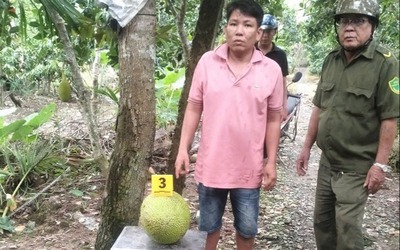 Trộm 2 trái mít, người đàn ông bị khởi tố