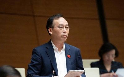 Cần xây dựng ứng dụng để người dân phản ánh tình trạng cây xanh ven đường