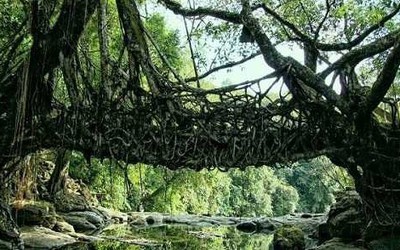 Bí ẩn ngôi làng sạch nhất châu Á