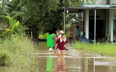 Video: Người dân Lâm Đồng lội nước để mưu sinh trong những ngày mưa, lũ