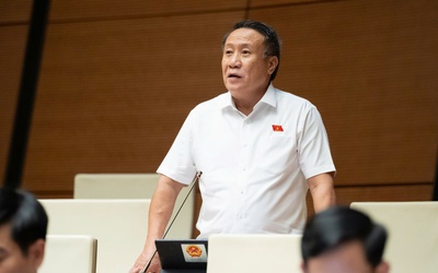 Đại biểu bức xúc việc người dân phải photo sổ đỏ để "làm sạch dữ liệu đất đai"