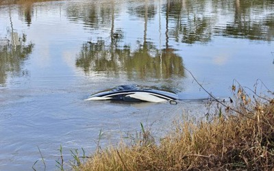 Ô tô mất lái lao xuống kênh, tài xế 55 tuổi bị mắc kẹt, tử vong