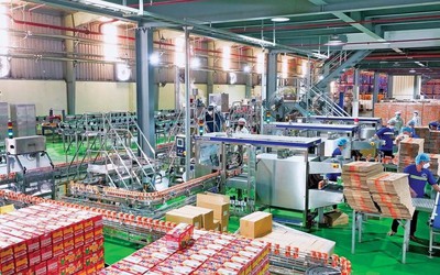 Chi phí leo thang, lợi nhuận Sữa Lof “trượt dốc” trong quý III/2025