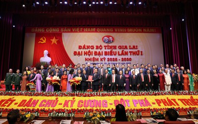 Thượng tướng Thái Đại Ngọc giữ chức Bí thư Tỉnh ủy Gia Lai