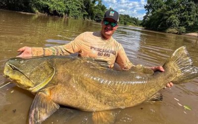 Người đàn ông câu được con cá da trơn "khổng lồ" dài 1,33m trên sông