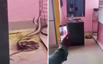 Học sinh la hét khi chứng kiến cảnh tượng đáng sợ trong lớp học