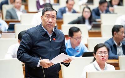 Đại biểu Quốc hội hiến kế 5 giải pháp huy động 500 tấn vàng trong dân