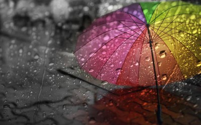 Đừng hỏi mưa rơi ở phố nào