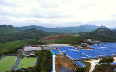 Dừng hoạt động trại lợn gây ô nhiễm ở Thanh Hoá từ năm 2026