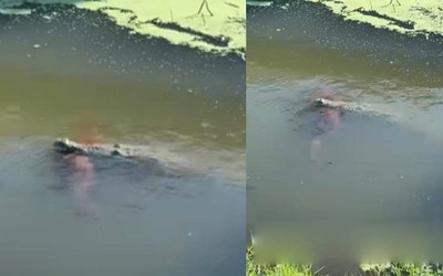 Nhìn xuống kênh nước, người dân bắt gặp cảnh tượng đáng sợ