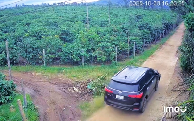 Tông người đi xe máy tử vong, tài xế lái ô tô bỏ trốn vào rẫy cà phê