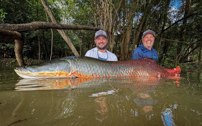 Cần thủ câu được con cá khổng lồ dài 2,2 mét, nặng 130kg trên sông