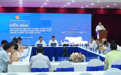 Đổi mới công nghệ và liên kết chuỗi là chìa khóa giảm giá thành chăn nuôi