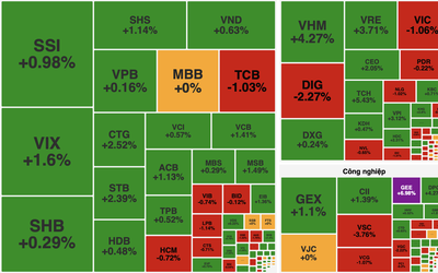 VN-Index lập kỷ lục mới