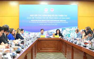Cộng đồng quốc tế sát cánh cùng Việt Nam phục hồi sau thiên tai