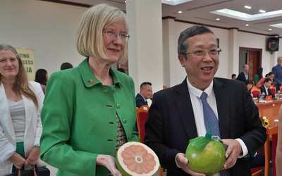 Lần đầu tiên, trái bưởi Việt Nam xuất khẩu sang Úc