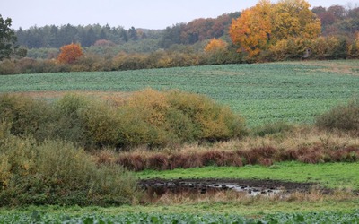 Phát hiện thi thể bé trai 8 tuổi bên bờ ao