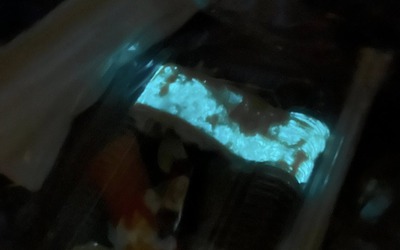 Người phụ nữ sốc nặng khi phát hiện món sushi bất ngờ phát sáng