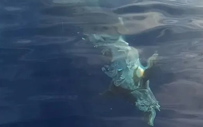 Nhìn xuống nước ngư dân rùng mình phát hiện thứ đáng sợ