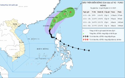 Vì sao bão số 14 Fung wong không di chuyển theo quy luật thông thường?