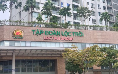 Lộc Trời muốn vay 250 tỷ đồng từ công ty con