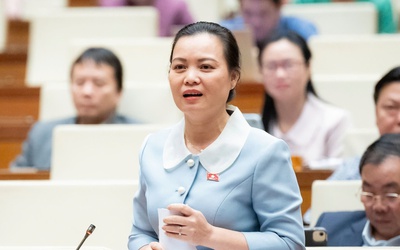 Yêu cầu làm rõ quyền bồi thường của hành khách khi bị chậm, hủy chuyến bay