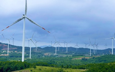 Điện gió Quảng Trị cắt giảm công suất, hướng đi nào cho phát triển năng lượng tái tạo bền vững?
