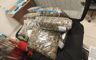 Kiểm tra chiếc vali, phát hiện thứ trị giá 29,7 tỷ đồng