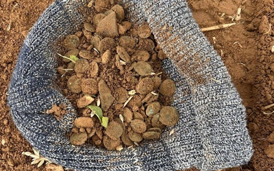 3 người đàn ông đào được "kho báu" quý giá trên cánh đồng