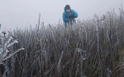 Đón không khí lạnh cực mạnh, miền Bắc rét dài ngày, có nơi dưới 5 độ C