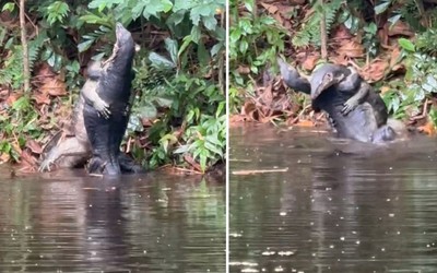 Nhìn xuống hồ nước, người phụ nữ bắt gặp cảnh tượng nổi da gà