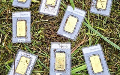 Đi cắt cỏ, nam công nhân tìm thấy 8 miếng vàng trị giá 920 triệu đồng