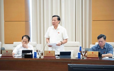 Cần hướng dẫn chi tiết cho việc thực thi Nghị quyết 173 và sửa đổi các luật liên quan