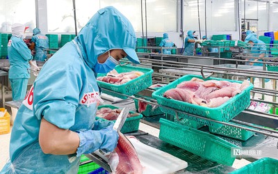 Sắp đến mùa cao điểm, doanh nghiệp thủy sản điều chỉnh hàng tồn kho thế nào?