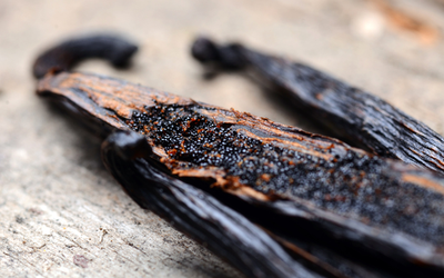 Cây “vô danh” bất ngờ thành đặc sản giá 15 triệu đồng/kg, Việt Nam cũng đã trồng thành công