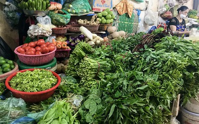 Tp.HCM kích hoạt giải pháp khẩn cấp giữ bình ổn giá rau