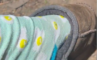 Xỏ chân vào giày, người phụ nữ kinh hãi phát hiện thứ đáng sợ bên trong