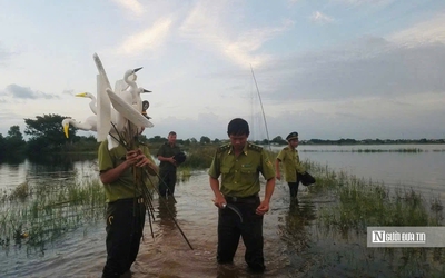 Huế triển khai nhiều biện pháp để ngăn chặn nạn săn bắt chim hoang dã