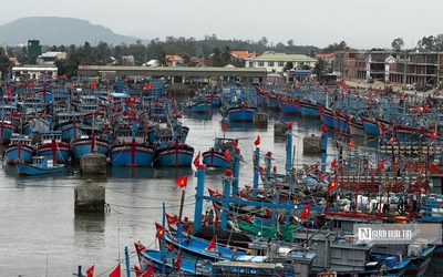 Sóng lớn suốt tháng, ngư dân Quảng Ngãi lao đao vì tàu phải nằm bờ