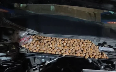 Nghe tiếng động lạ, người đàn ông cúi xuống gầm xe thấy cảnh tượng "nổi da gà"