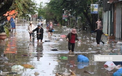 Tỉnh Gia Lai chỉ đạo ứng phó với áp thấp nhiệt đới có khả năng mạnh lên thành bão