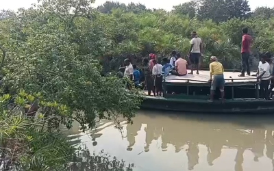 Đi bắt cua, người đàn ông 45 tuổi bị hổ dữ vồ tử vong