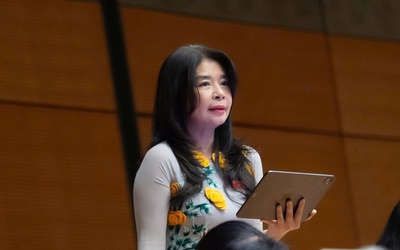 ĐBQH: Mạng xã hội phải chia sẻ doanh thu khi sử dụng thông tin từ báo chí