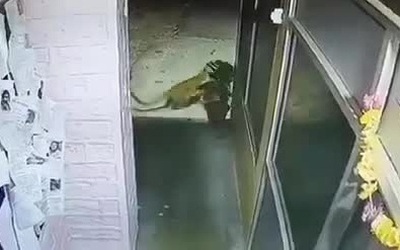 Xem lại camera giám sát tại đồn, cảnh sát thấy điều đáng sợ